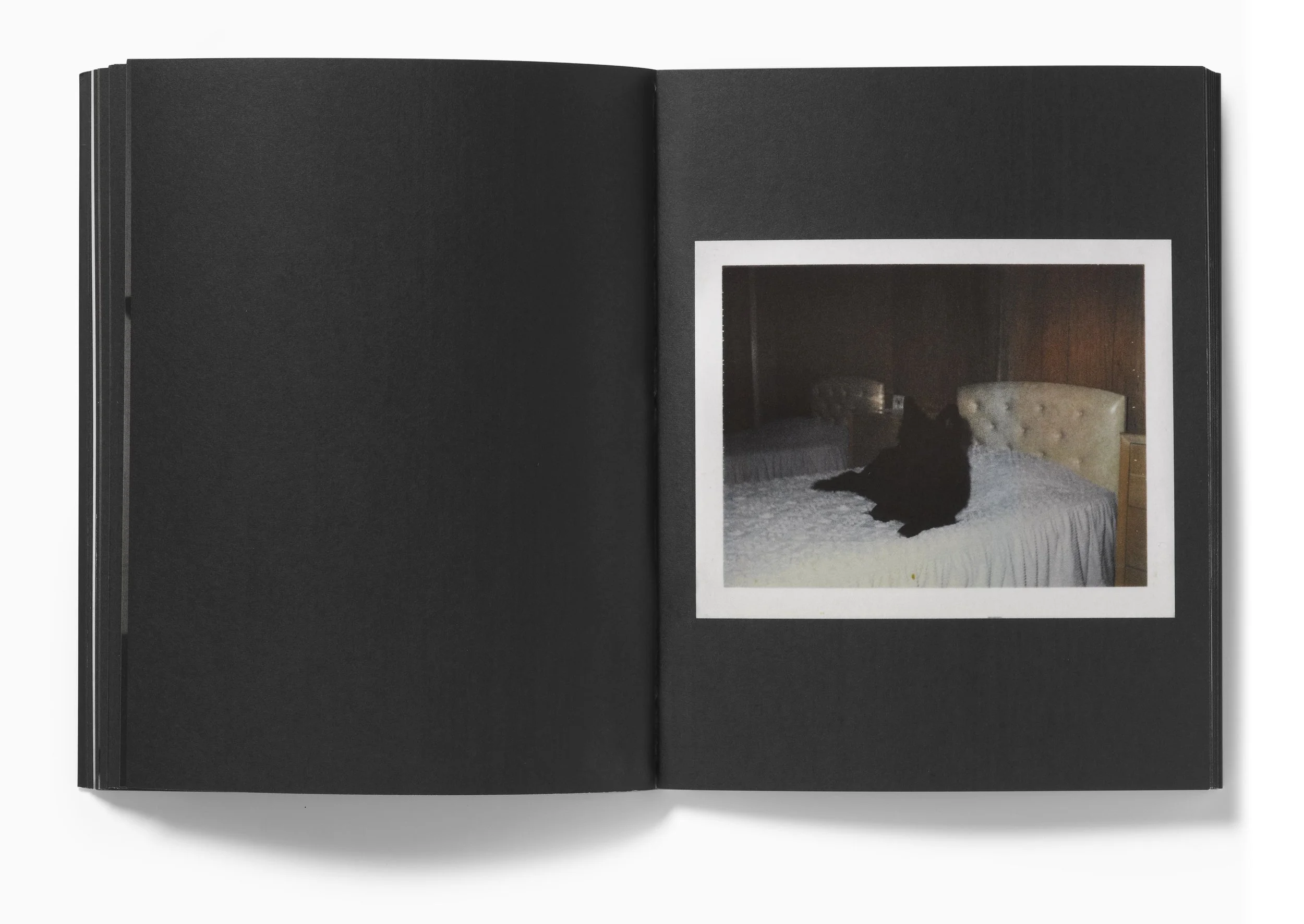 In Almost Every Picture #7 更新版 all+19+iaep.jpg?format=1500w